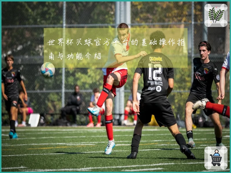 世界杯买球官方平台的基础操作指南与功能介绍