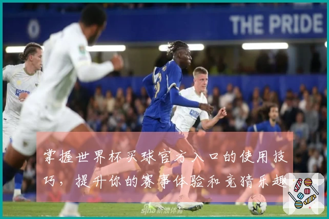 掌握世界杯买球官方入口的使用技巧，提升你的赛事体验和竞猜乐趣
