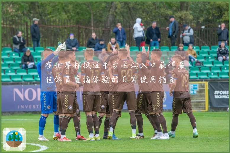 在世界杯投注平台主站入口获得最佳体育直播体验的日常使用指南